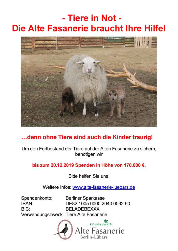 Spendenaufruf - Tiere in Not - | Alte Fasanerie Spendenaufruf - Tiere in Not - () | Alte Fasanerie