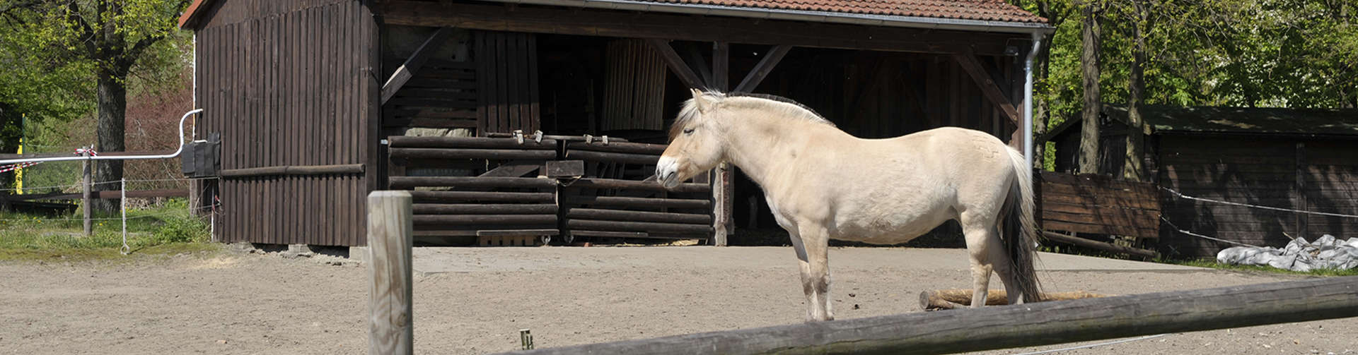 Auch unsere Tiere freuen sich