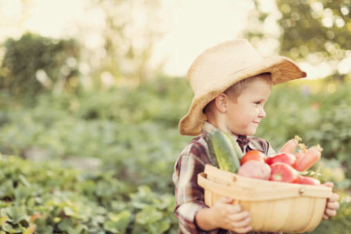 Herbstferiencamp Naturwochen () | Alte Fasanerie