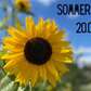 Sommerfest 20.08.2023 - Alte Fasanerie
